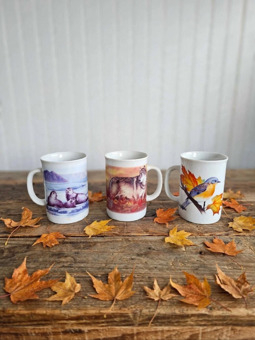 Vintage Canadian Geographic Wildlife Mug Set - Set of 3